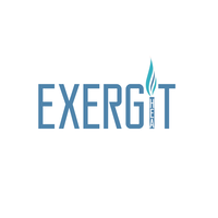 exergit ltd