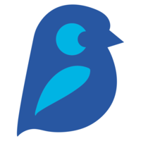 bluebird accountancy limited