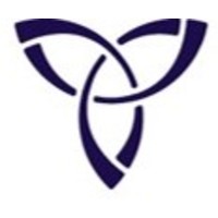 vico partners limited