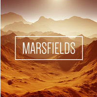 marsfields limited