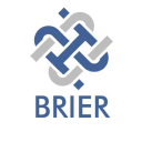 brier solutions limited
