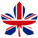 chestnut education group limited