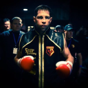 elliott matthew limited