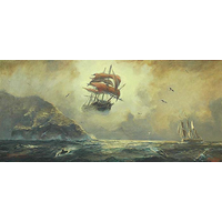 flying dutchman consultancy limited