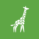 giraffe insights limited