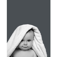 ark global innovations ltd