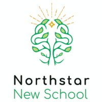 northstar new school limited