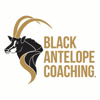 black antelope coaching ltd