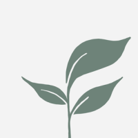 wholesome world limited