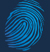 securetronics ltd