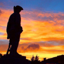 21 elizabeth avenue limited