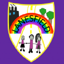 lanesfield limited