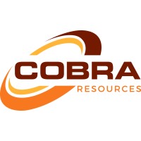 cobra resources plc