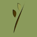 fresh aspect limited