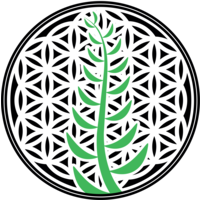 solar grow global limited