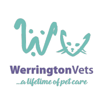 werrington vets limited