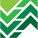 tlh accounting limited