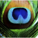 generativework.space limited