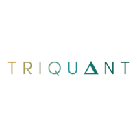 triquant investments ltd