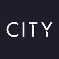 city executive search ltd