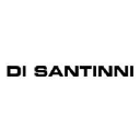 di santi limited