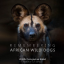 remembering wildlife ltd