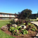 citigarden living limited