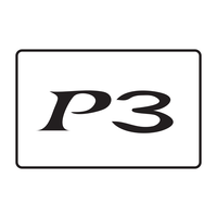 p3 computer services limited