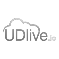 udlive (2023) limited