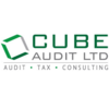 cube audit limited