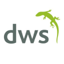 dws (global) ltd