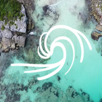 pure reports limited