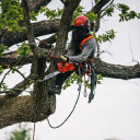 jsq farm enterprises limited