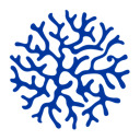 archipelago risk services limited