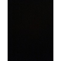 palm environmental ltd