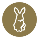 gold rabbit ltd