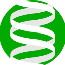 vebis limited