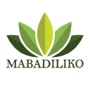 mabadiliko cic