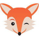 savvy fox limited