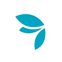 pkf smith cooper limited