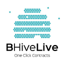bhivelive ltd