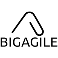big agile ltd