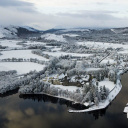 sean carey and company limited