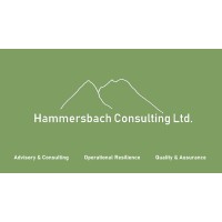hammersbach consulting ltd