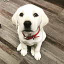 iron construction limited