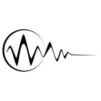 feraru dynamics limited