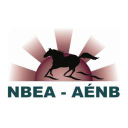 n.b equestrian ltd
