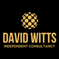 david witts independent consultancy limited
