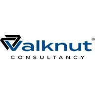 valknut consultancy ltd