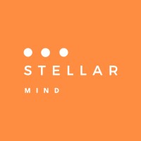 stellar mind limited